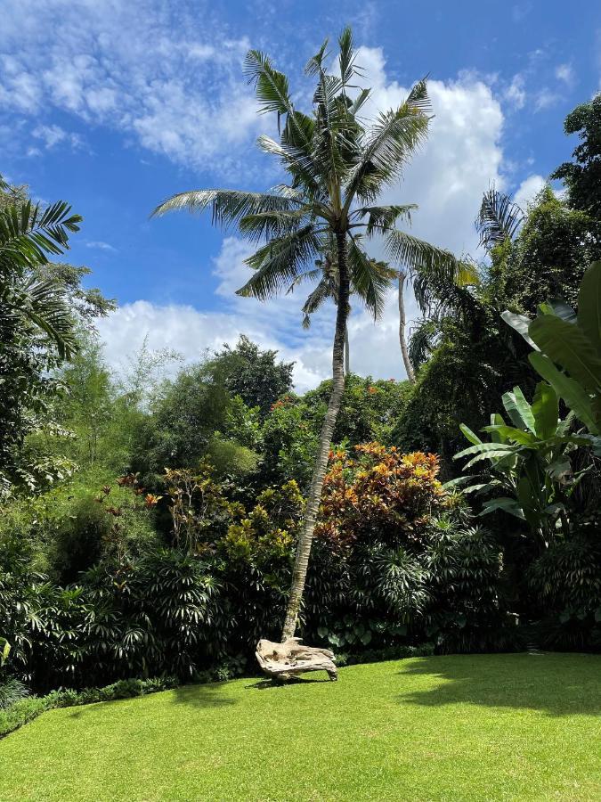 Villa Alamanda 乌布 外观 照片